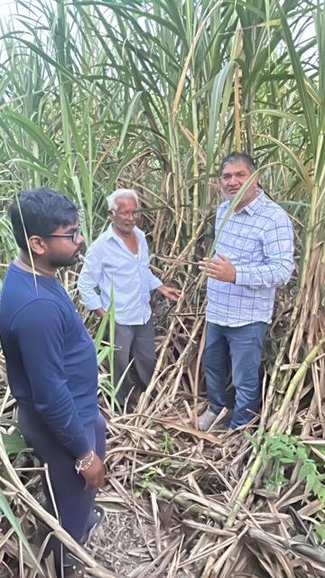 ખેતરમાં શેરડીની સ્થિતિની ચર્ચા | Gujarat Bio Organics