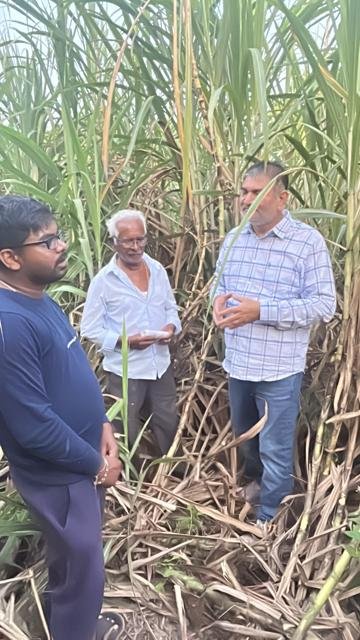 શેરડીના પાક વચ્ચે ખેડૂત સાથે ચર્ચા | Gujarat Bio Organics