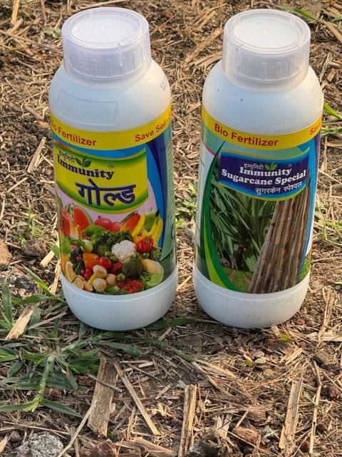 Immunity Sugarcane Special અને Gold: ખેતરમાં | Gujarat Bio Organics