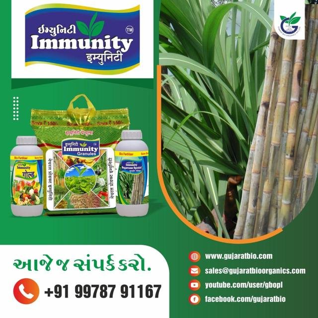 Immunity: શેરડી માટે પ્રોડક્ટ રેન્જ | Gujarat Bio Organics